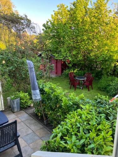 Blick in den Garten